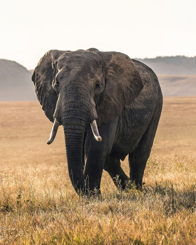 Botswana