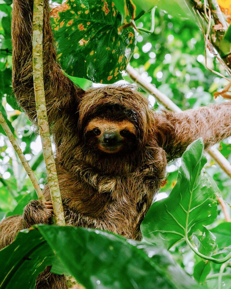 Costa Rica