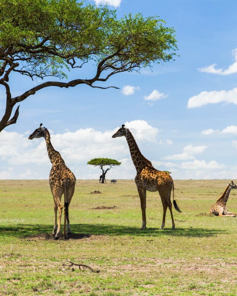 Kenya